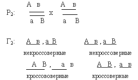 кроссинговер