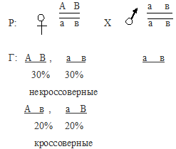 сцепление генов