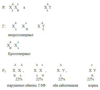 глюкозо-6-фосфатдегидрогеназа