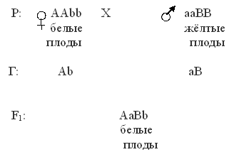 эпистаз