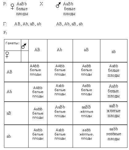 Эпистаз