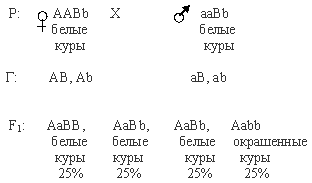 Эпистаз