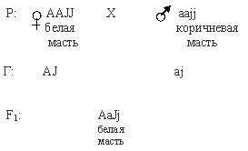 бомбейский феномен