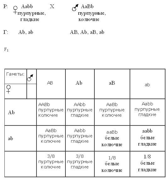 независимое наследование признаков при дигибридном скрещивании