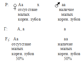 моногибридное скрещивание