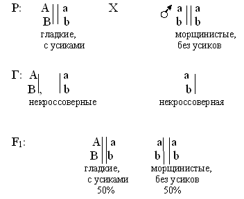 закон менделя