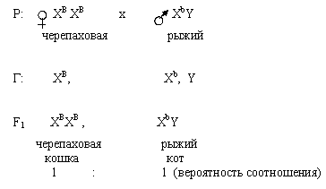 закон сцепленного наследования