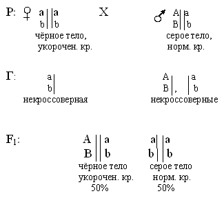 доминантные и рецессивные гены