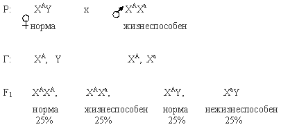 сцепленный с полом летальный ген