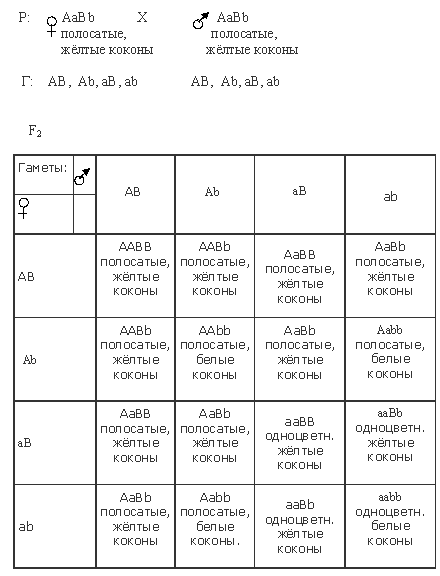 пробанд