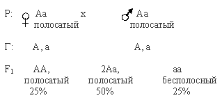 рецессивный признак