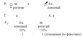 комолость