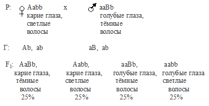 дигибридное скрещивание