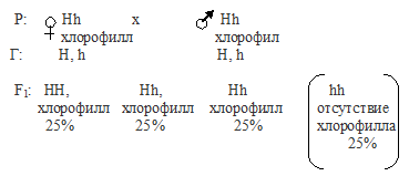 хлорофильная мутация