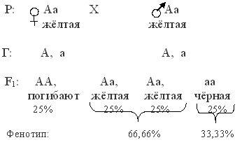 серповидноклеточная