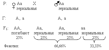 зеркальный карп