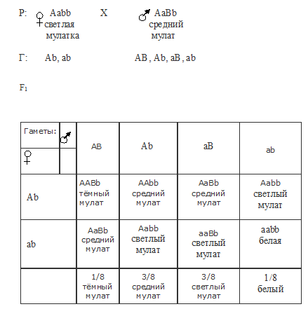 мулат, мулаты