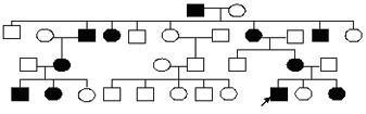 родословная по аутосомно-доминантному типу наследованию признака