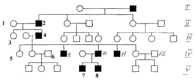  Графическое изображение родословной по голандрическому типу наследования признака