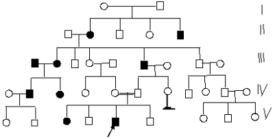родословная по аутосомно-рецессивному типу наследования признака