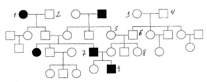 родословная с аутосомно-рецессивным типом ядерного наследования признака