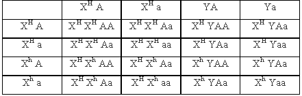 альбинизм