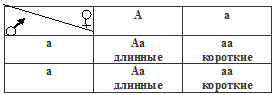 доминантный признак