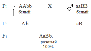 комплементарность