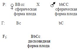 комплементарность