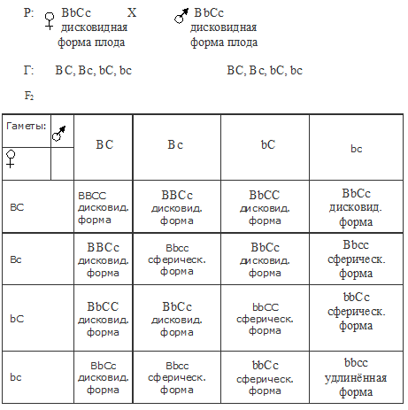 Комлементарность