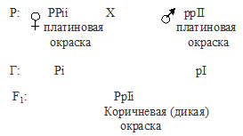 комплементарность