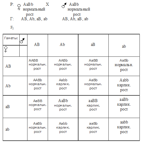 комплементарность