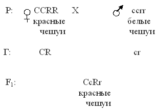 комплементарность