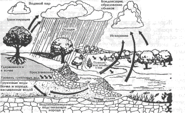 rруговорот воды в биосфере