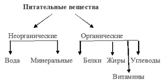 питание