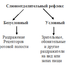 слюноотделительный рефлекс