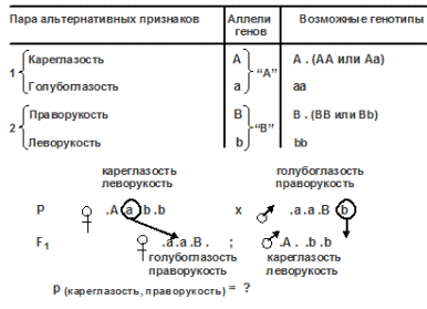 аутосомные доминантные признаки