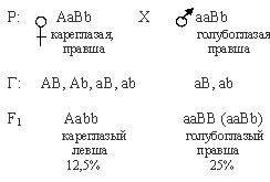 рецессивный признак