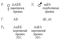 доминантные признаки