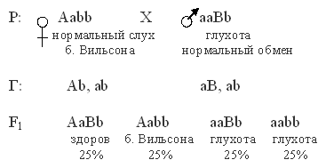 болезнь вильсона