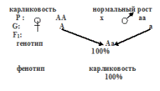 доминантные признаки