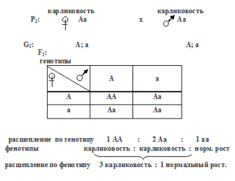 правило расщепления