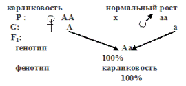 анализирующее скрещивание