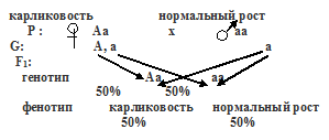 анализирующее скрещивание