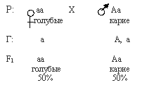 наследование цвета глаз у человека