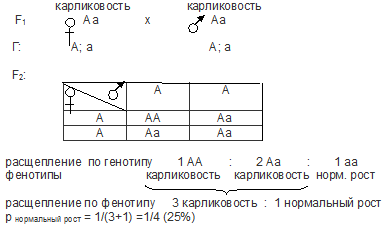 наследование карликов