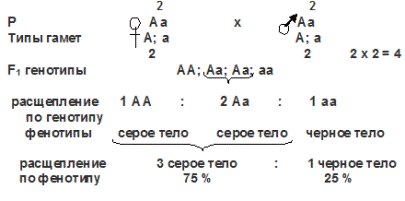 аутосомные признаки