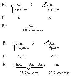 масти у крупно рогатого скота