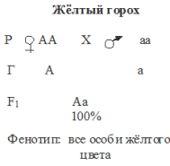 закон доминирования