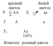 закон доминирования